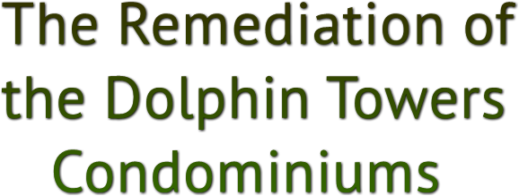 The Remediation of 
the Dolphin Towers 
 Condominiums